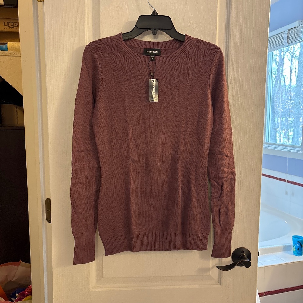 Express Crewneck Sweater New